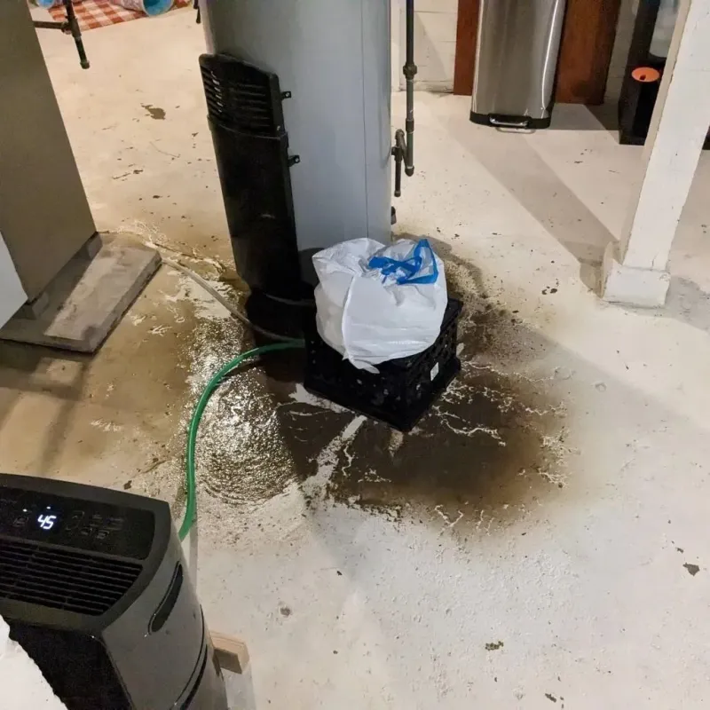 Sewage Backup Cleanup Service in Woodacre, CA